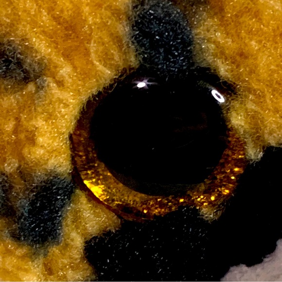 TY Beanie Boos Larry the Lynx Cat Plush Stuffed Toy pre-loved condition - Picture 3 of 10